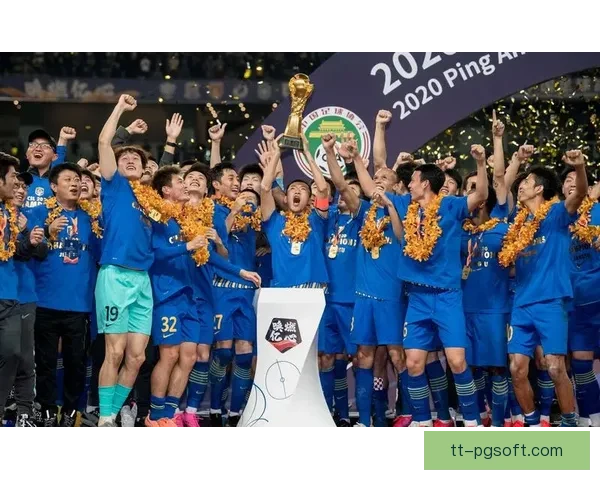 江苏苏宁中超夺冠后宣布解散 足球历史一大震动背后的故事