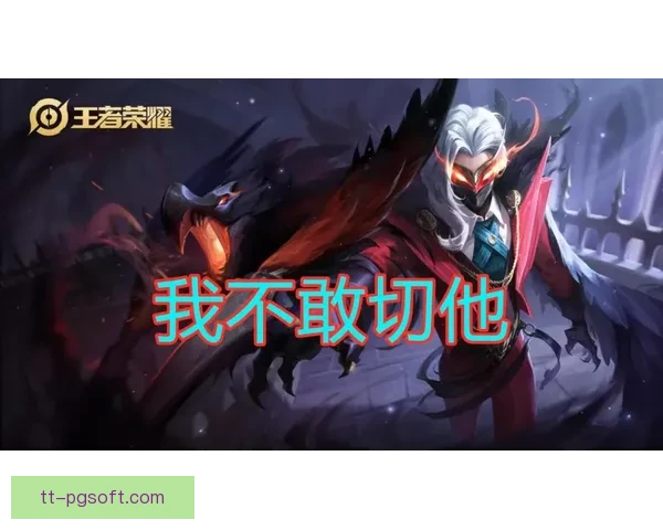 重伤沉寂大半赛季后王者归来泽卡复出首秀点燃全场期待再启征程新